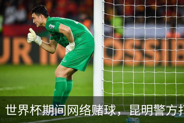 世界杯期间网络赌球，昆明警方打掉两个团伙抓获42人