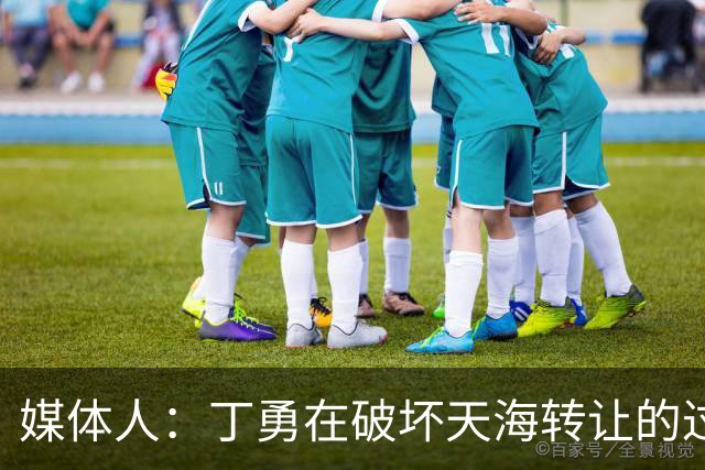 媒体人：丁勇在破坏天海转让的过程中曾拉刘奕下水