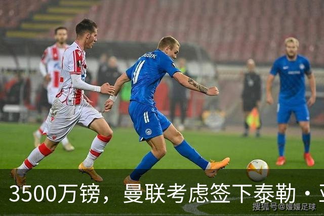 3500万镑，曼联考虑签下泰勒·亚当斯，中场重建第三笔